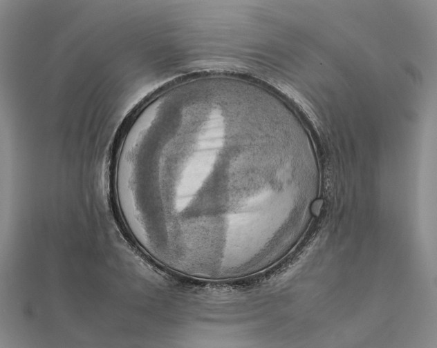 X0000112090983200908251124