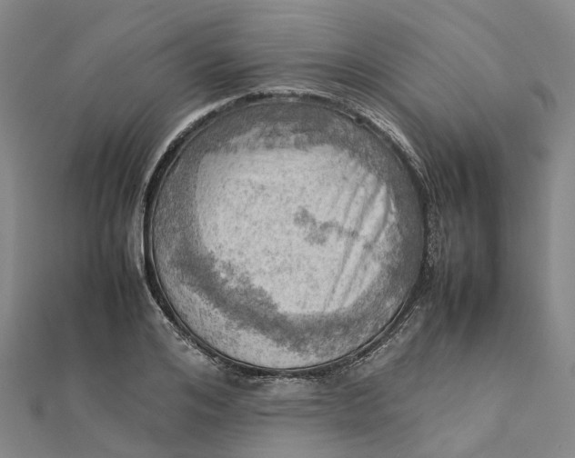 X0000112090984200908251124