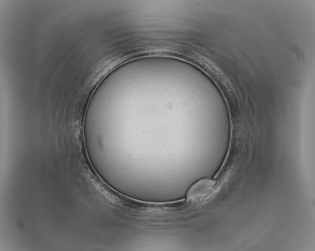 X0000112090985200908251124