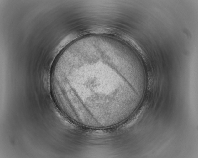 X0000112090986200908251124