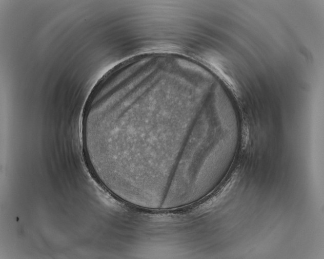 X0000112090988200908251124