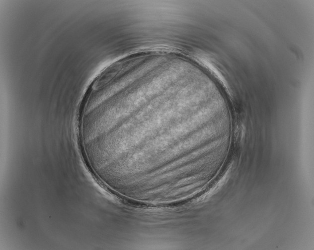 X0000112090989200908251124