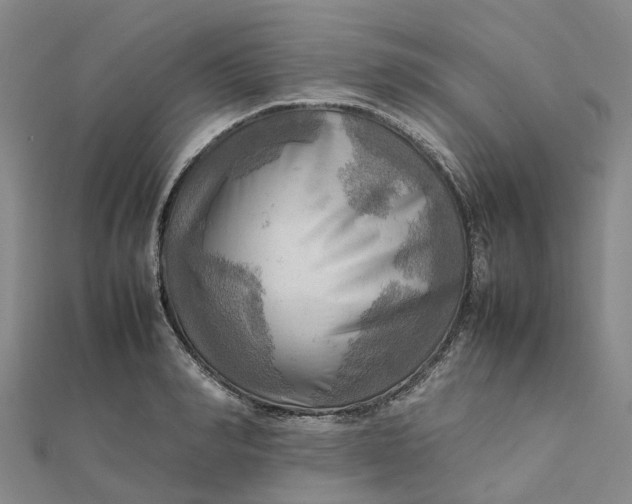 X0000112090990200908251124