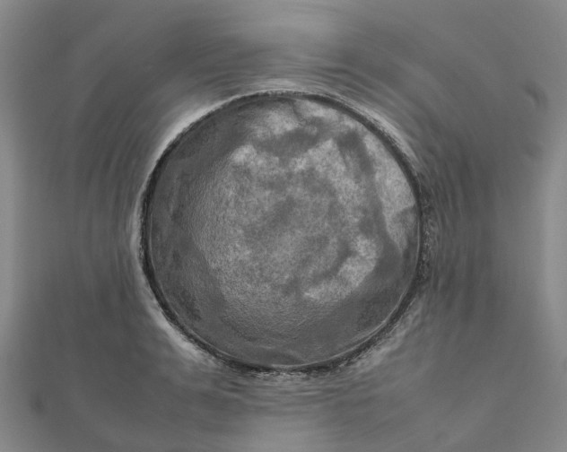 X0000112090991200908251124