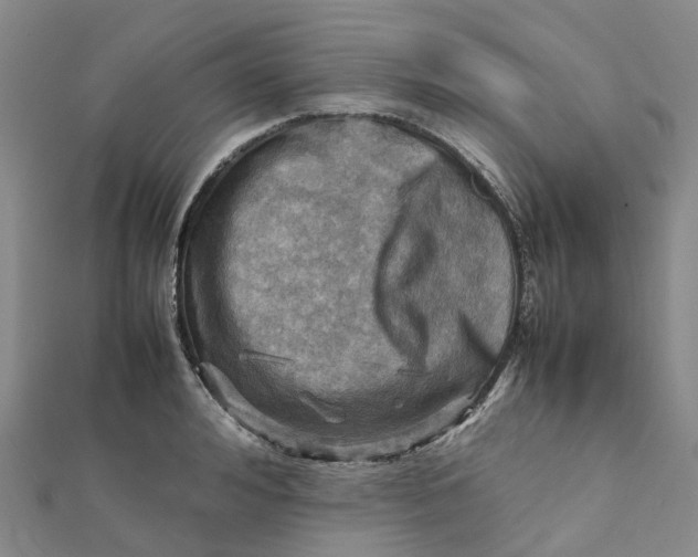 X0000112090992200908251124