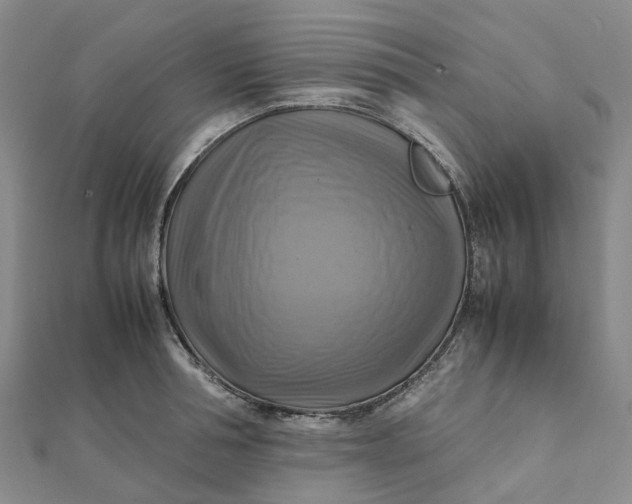 X0000112090994200908251124