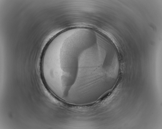 X0000112090995200908251124