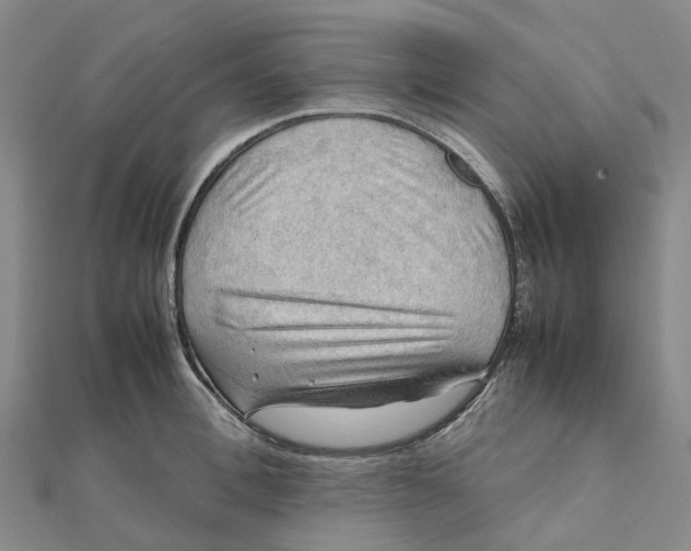 X0000112090996200908251124