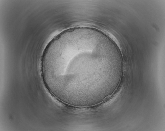 X0000112090997200908251124