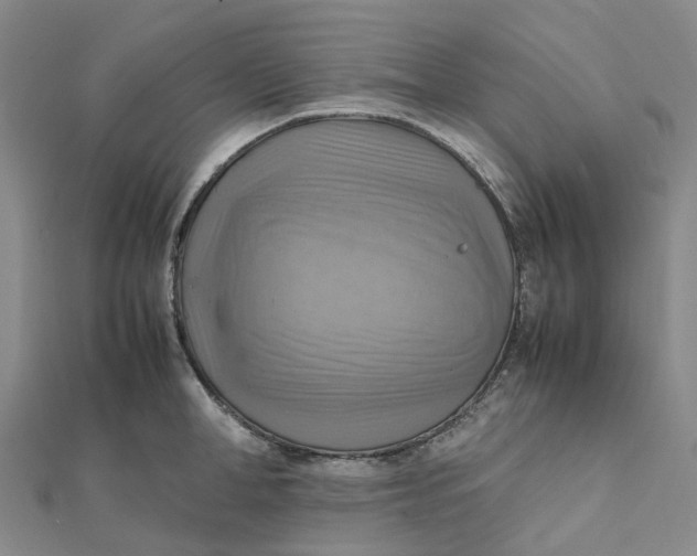 X0000112090998200908251124