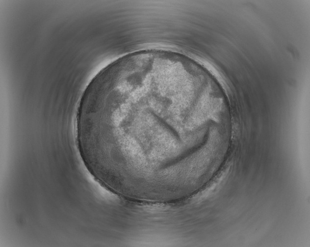 X0000112090999200908251124