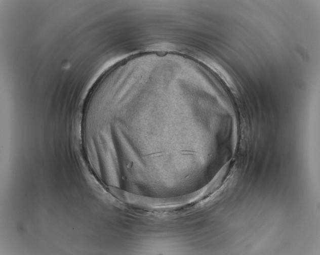 X0000112091000200908251124