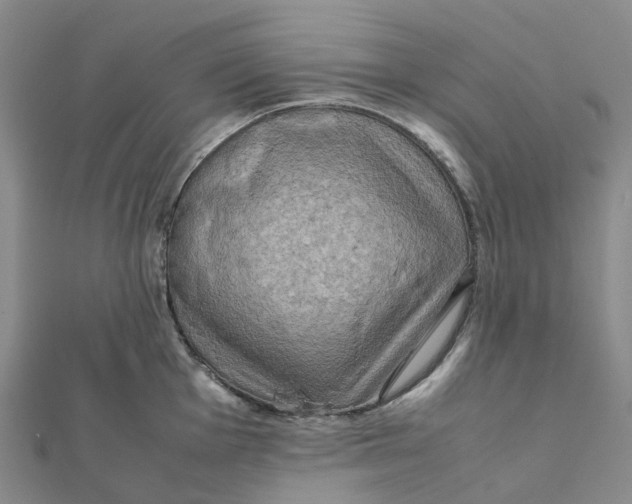 X0000112091001200908251124