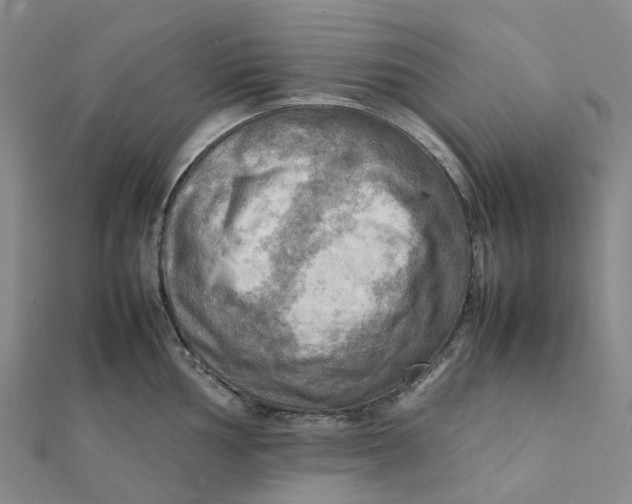 X0000112091002200908251124