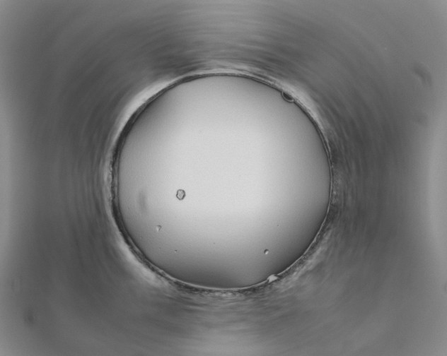 X0000112091003200908251124