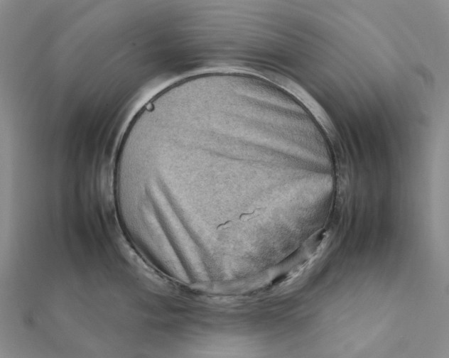 X0000112091004200908251124