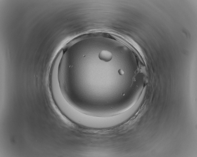 X0000112091005200908251124