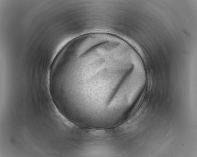 X0000112091006200908251124