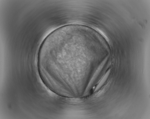 X0000112091007200908251123