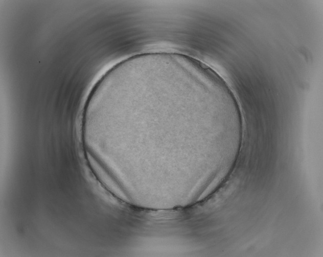 X0000112091008200908251123