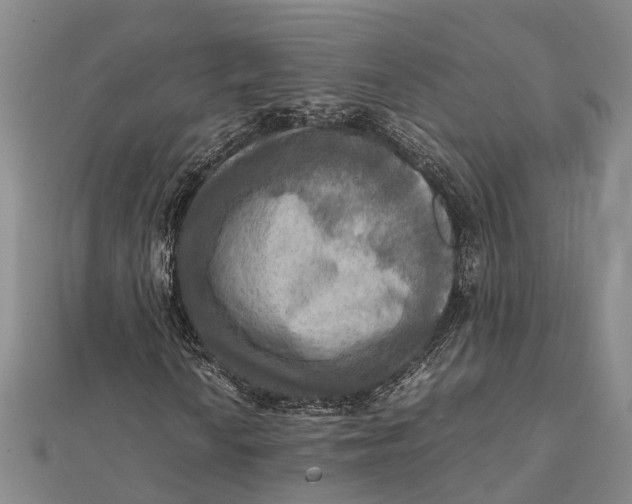 X0000112091010200908251123