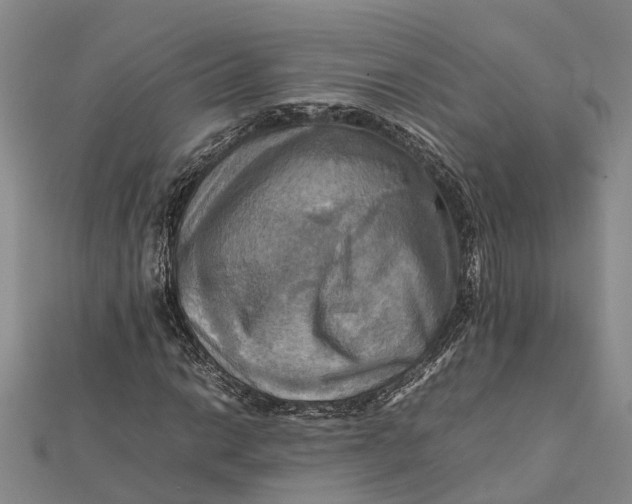 X0000112091014200908251123