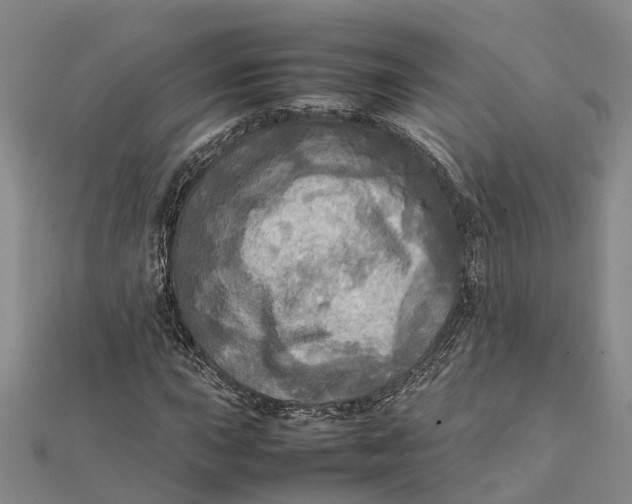 X0000112091015200908251123