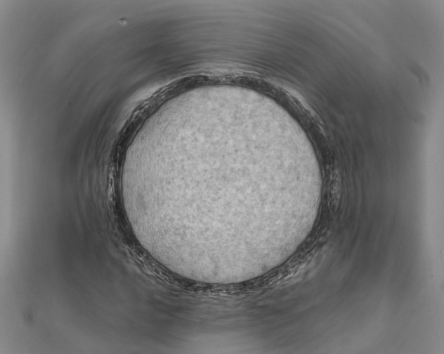 X0000112091016200908251123