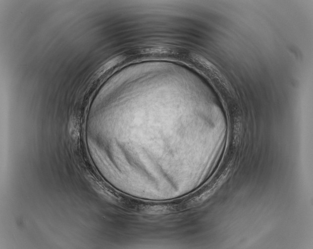 X0000112091017200908251123