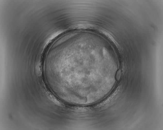 X0000112091018200908251123