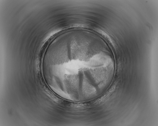 X0000112091019200908251123