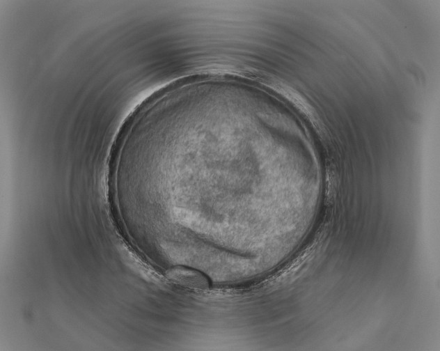 X0000112091020200908251123