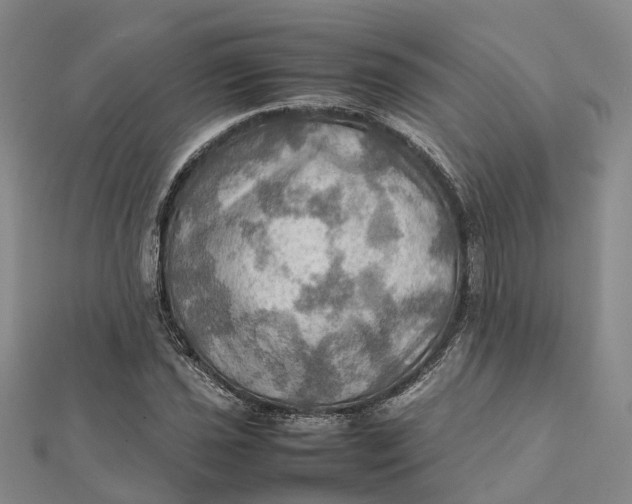 X0000112091021200908251123