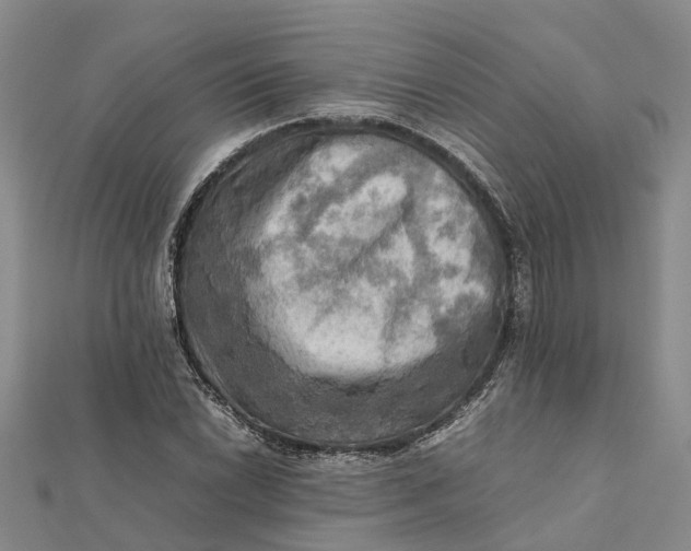 X0000112091022200908251123