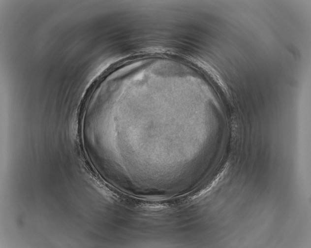 X0000112091023200908251123