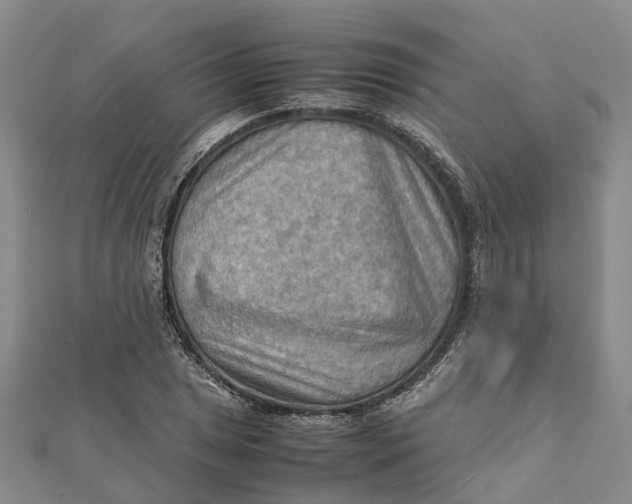 X0000112091025200908251123