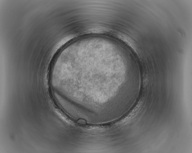 X0000112091026200908251123