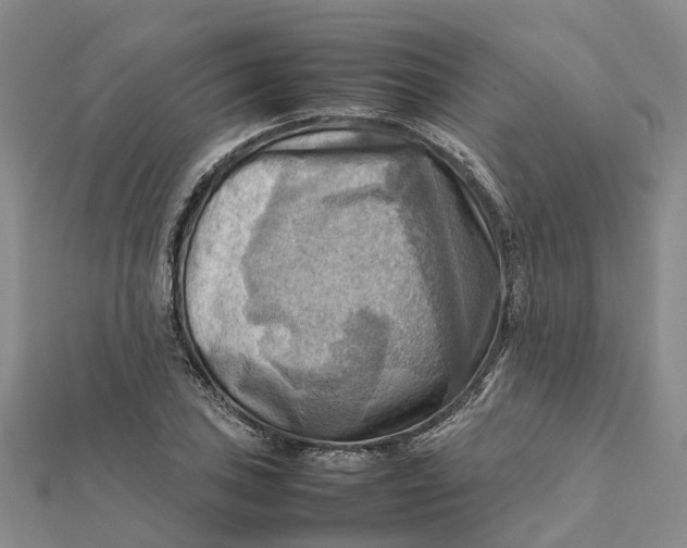 X0000112091027200908251123