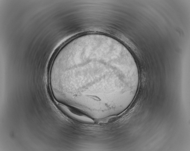 X0000112091028200908251123