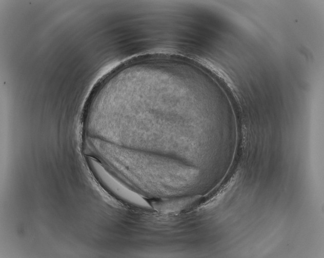 X0000112091029200908251123