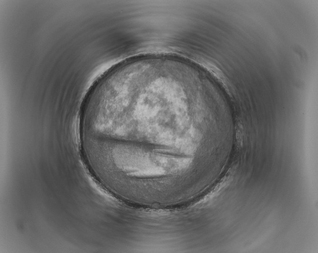 X0000112091030200908251123