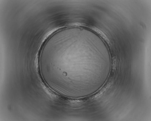 X0000112091031200908251123