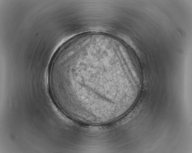 X0000112091032200908251123