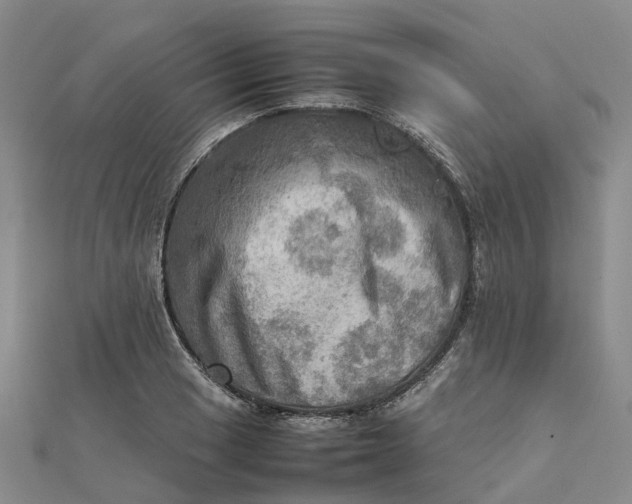 X0000112091033200908251123