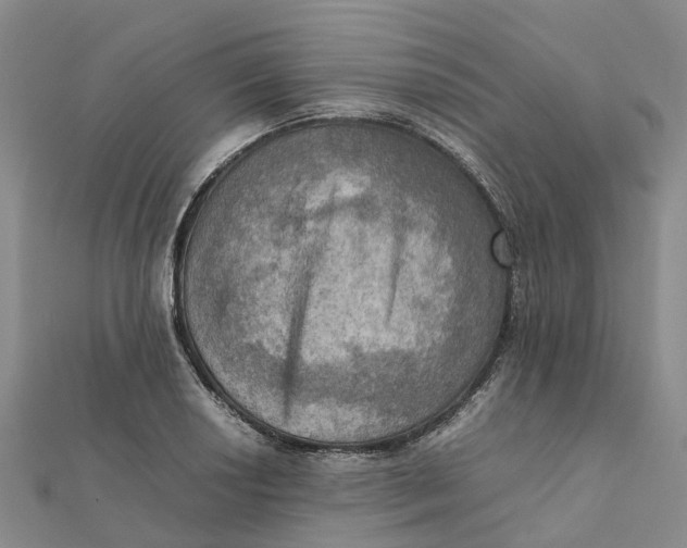 X0000112091034200908251123