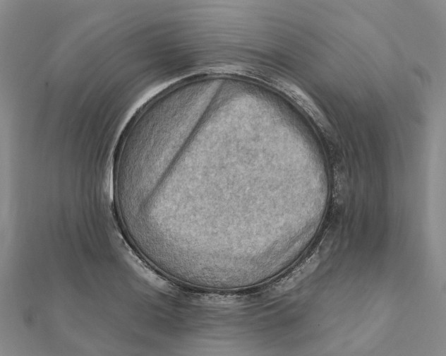 X0000112091036200908251123