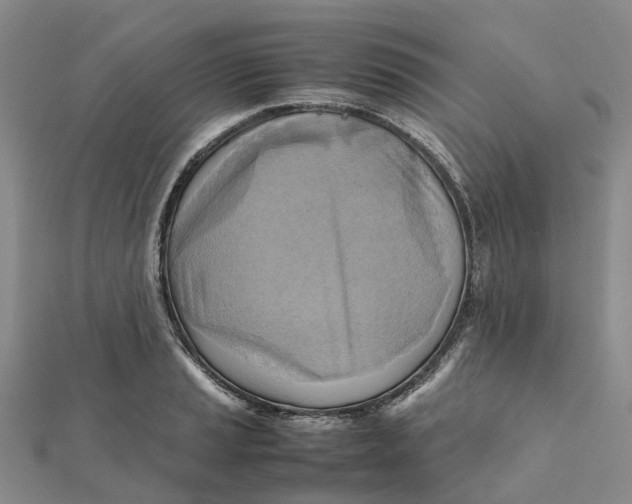 X0000112091037200908251123