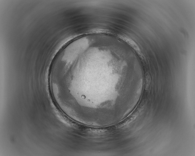 X0000112091039200908251123