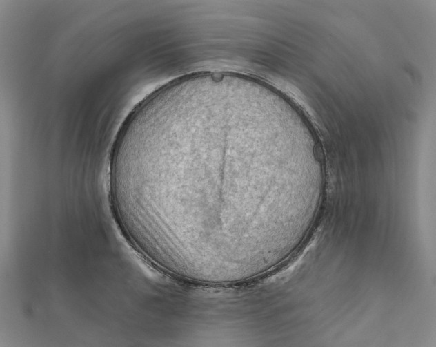 X0000112091040200908251123