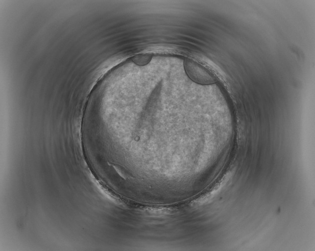 X0000112091041200908251123